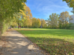 Sofort bezugsfrei! Gut geschnittene 3-Zimmer-Wohnung mit Stadt und Wald vor der Haustür - Bild